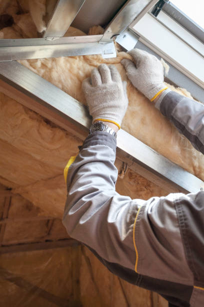 Best Residential Insulation in Eaton, CO