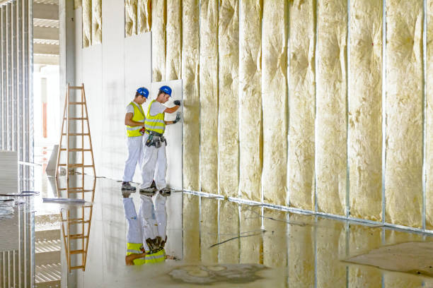 Best Residential Insulation in Eaton, CO